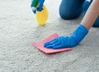 Thảm nhà bạn có thực sự sạch 