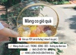 Màng co giỏ quà tết 2026 