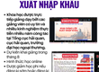 Khai giảng lớp xuất nhập khẩu 