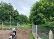 Chính Chủ Cần Xoay Vốn Nên Bán Gấp Lô Đất 1000m2 Vườn Cây Ăn Trái Lâu Năm Tại...