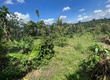 Bán đất nền view nghỉ dưỡng giá ưu đãi tại Quốc Lộ 55, Lộc Nam, Bảo Lâm, Lâm...