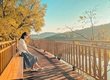 Cty Du Lịch Việt   sự lựa chọn cho chuyến đi du lịch Hàn Quốc giá cả...