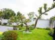 Sân vườn sau nhà   Không gian xanh thư giãn và cân bằng phong thủy 