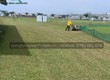 Công trình cần cắt cỏ thường xuyên 