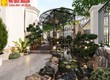 Thiết kế sân vườn được ưa chuộng hiện nay 