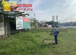 Dịch Vụ Cắt Cỏ Sân Vườn   Giá Hợp Lý 