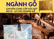 Gói Hút Ẩm Cho Ngành Gỗ   Ngăn Mốc, Bảo Vệ Hàng Xuất Khẩu 