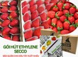 Gói Hút Khí Ethylene Secco 5g   Chống hư hỏng, bảo quản Dâu Tây 