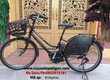 Xe đạp trợ lực Nhật brigestone hydee II 