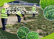 Trồng Cỏ lá gừng   Cỏ nhung Nhật tại KCN Long Đức, Long Thành, Nhơn Trạch, 