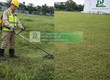 Dịch vụ cắt cỏ   cắt tỉa   chăm sóc cảnh quan KCN An Phước, Long...