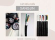 Cáp điều khiển Sangjin chính hãng   giá tốt cho công trình, nhà máy 
