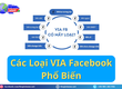 Tìm Hiểu Các Loại Via Facebook Phổ Biến Hiện Nay 