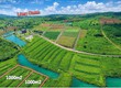 Cần bán đất nghỉ dưỡng view hồ tảo hồng duy nhất tại lâm đồng 