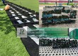 Cung cấp cây xanh, cỏ công trình giá tốt tại vườn Đồng Nai, TPHCM, Long An, Bình Dương...