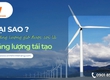 Tại sao năng lượng gió được coi là năng lượng tái tạo 