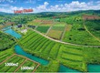 Chính chủ ngộp cần bán gấp đất view hồ Làng Omm Bảo Lộc 1000m 