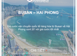 Giá cước tàu biển từ Busan về Hải Phòng 