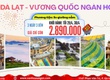 Đà Lạt   Vương quốc ngàn hoa 2026   SGC 