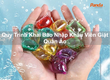 Quy Trình Khai Báo Nhập Khẩu Viên Giặt Quần Áo 