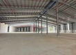 CHO THUÊ NHÀ XƯỞNG Phước Hòa, Phú Giáo, Bình Dương 13.904m 