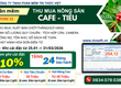 Chỉ còn 02 ngày, Ưu đãi cài đặt Phần mềm thu mua cafe, tiêu 