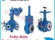 Đại lý phân phối Franklin valve chính hãng 