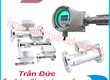 Cảm biến mức EESIFLO   Đồng hồ đo lưu lượng Eesiflo 