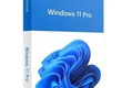 Phần mềm Windows Pro 11 64Bit Eng Intl 1pk DSP OEI DVD  FQC 10528 