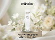 Gợi ý nước hoa nữ Elizabeth Arden White Tea EDT nhẹ nhàng dễ dùng hằng ngày 