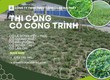 Trồng cỏ công trình KCN Bình Dương 