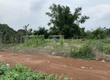 CHÍNHCHỦ  Cần bán đất xã Láng Dài,Đất Đỏ,Bà Rịa Vũng Tàu 1,3triệu/m2 1000m2 
