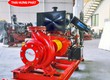 Máy bơm chữa cháy Diesel Stella STR80 315/45 45kW 