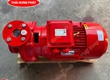 Máy bơm chữa cháy điện Stella ST50 250C 15kW 