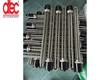 Điện trở đốt nóng Đình Thái 