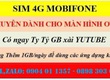 Sim 4G dành cho màn hình oto 