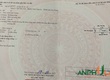 Chỉ 1 lô duy nhất, mua đất tặng nhà tại phường Thủy Nguyên, TP Hải Phòng 