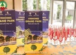 Ngàn Thông  biến những ý tưởng trên giấy thành những khoảnh khắc rực rỡ ngoài đời 