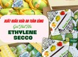Làm thế nào để giữ Xoài tươi ngon suốt 30 ngày vận chuyển 