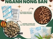 Gói hút ẩm có giảm rủi ro ẩm mốc cho nông sản không 