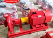 Máy bơm chữa cháy điện Stella trục rời STR150 200/110 110kW 