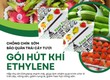 Giải pháp bảo quản trái cây tươi lâu   Công nghệ hút khí Ethylene Secco 