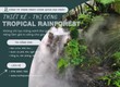 Thiết kế sân vườn nhiệt đới tiểu cảnh bán cạn, vivarium, paludarium xu hướng 2026 
