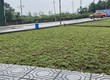 Bán đất hòa lạc chính chủ 