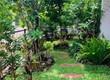 Dịch vụ trồng Cỏ lá gừng   Cỏ Nhung Nhật Nhơn Trạch Đồng Nai 