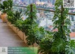 Thiết Kế Thi Công Cảnh Quan Sân Vườn Chậu Composite Theo Yêu Cầu Tại Bà Rịa  ...