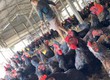 Gà quê sạch   giá tốt mỗi ngày  