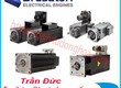 Động cơ điện Brusatori   Brusatori electric motors 