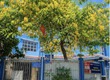 TỔ ẤM CHO GIA ĐÌNH   3 bước ra Tiểu học Trần Văn Ơn   bên...