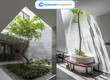 Mái Che Giếng Trời   Giải Pháp Hoàn Thiện Không Gian Sống Hiện Đại 
